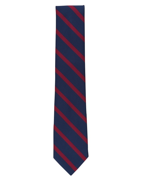 Men's Bay Stripe Tie